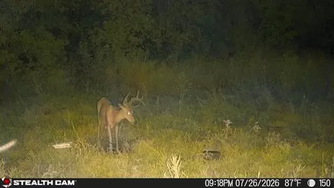 Other - 150 Sycamore Creek Rd, Van Lear, KY 41265 photo 62 of 65