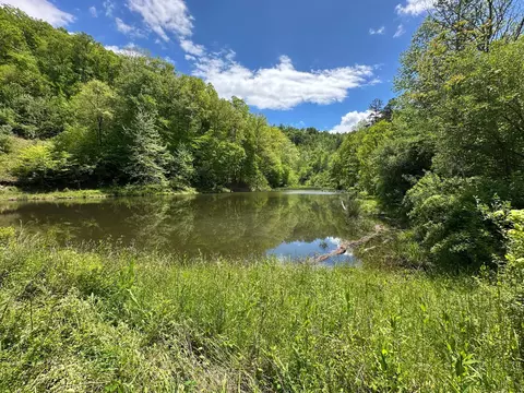 150 Sycamore Creek Rd, Van Lear, KY 41265