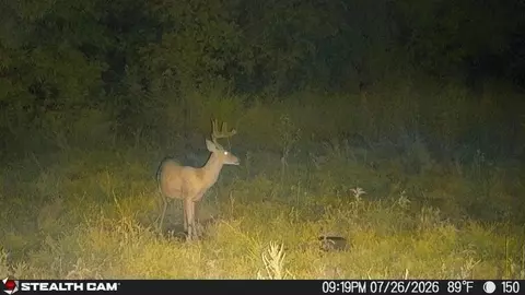 Other - 150 Sycamore Creek Rd, Van Lear, KY 41265 photo 65 of 65