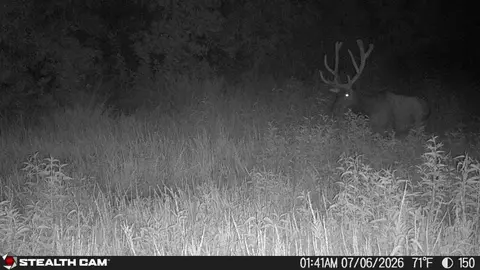 Other - 150 Sycamore Creek Rd, Van Lear, KY 41265 photo 2 of 61