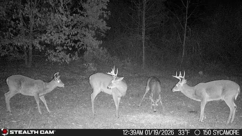 Other - 150 Sycamore Creek Rd, Van Lear, KY 41265 photo 52 of 61
