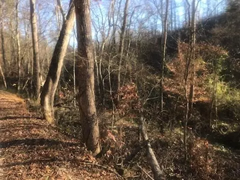 9999 House Rd, London, KY 40741