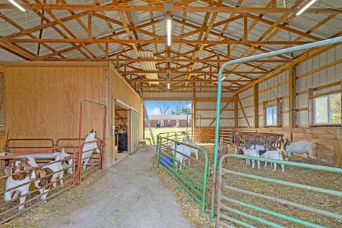 2546 Bethlehem Rd, Paris, KY 40361 photo 35