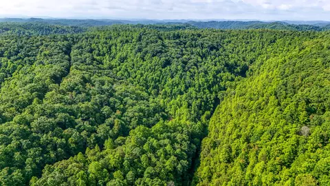9999 Baker Fork Rd, Wooton, KY 41776 photo 4