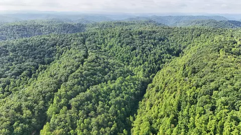 9999 Baker Fork Rd, Wooton, KY 41776 photo 6