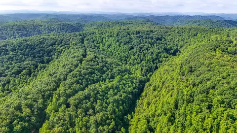 9999 Baker Fork Rd, Wooton, KY 41776