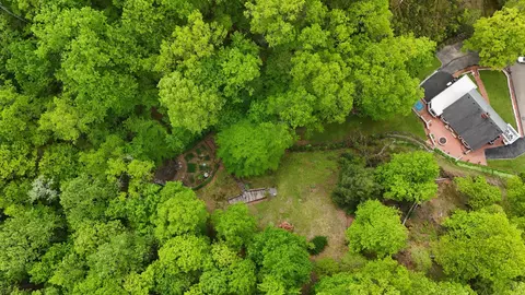 118 Timber Ln, Morehead, KY 40351 photo 24