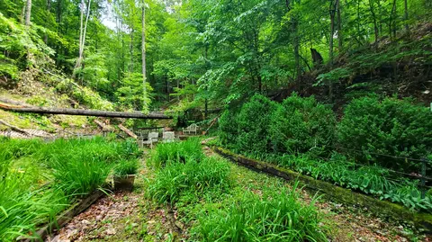 118 Timber Ln, Morehead, KY 40351 photo 19