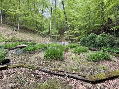 118 Timber Ln, Morehead, KY 40351 photo 18