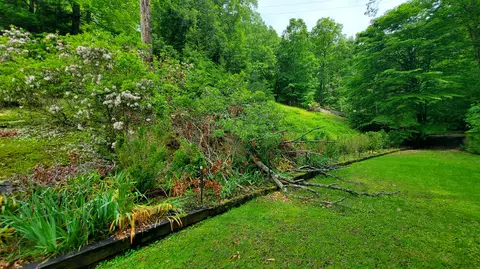 118 Timber Ln, Morehead, KY 40351 photo 16