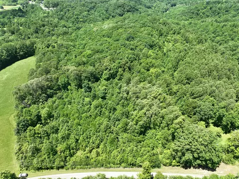 9999 Walter Huff Rd, Liberty, KY 42539