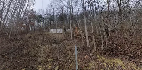 20184 Grapevine Rd, Phyllis, KY 41544 photo 4