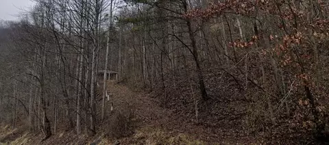 20184 Grapevine Rd, Phyllis, KY 41544 photo 3