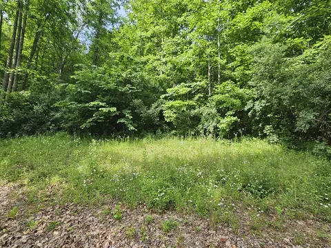 3821 Tidal Wave Rd, Corbin, KY 40701 photo 17