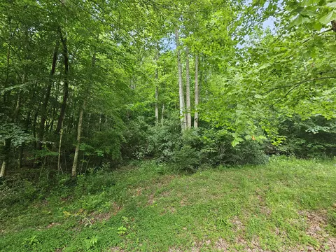 3821 Tidal Wave Rd, Corbin, KY 40701 photo 23