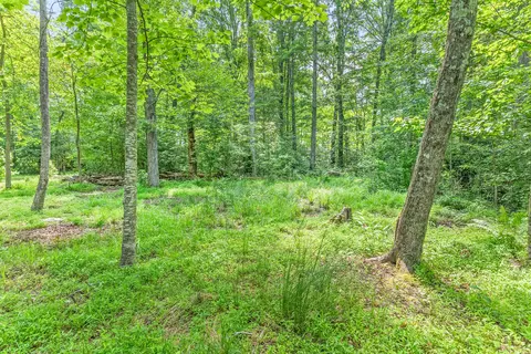 183 Auger Springs Rd, Corbin, KY 40701 photo 54