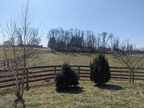 305 Muir Ln, Georgetown, KY 40324 photo 18