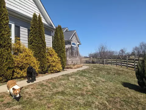 305 Muir Ln, Georgetown, KY 40324 photo 21