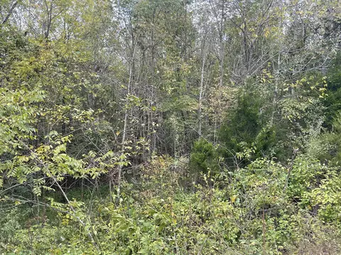 lot51 Shepperd, Nancy, KY 42544 photo 4