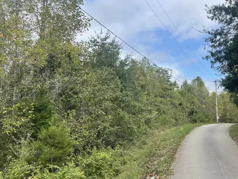 lot51 Shepperd, Nancy, KY 42544 photo 3
