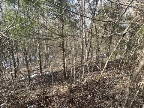lot51 Shepperd, Nancy, KY 42544 photo 14