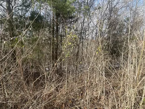 lot51 Shepperd, Nancy, KY 42544 photo 13