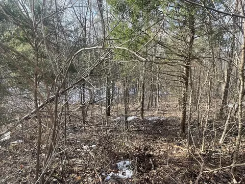 lot51 Shepperd, Nancy, KY 42544 photo 15
