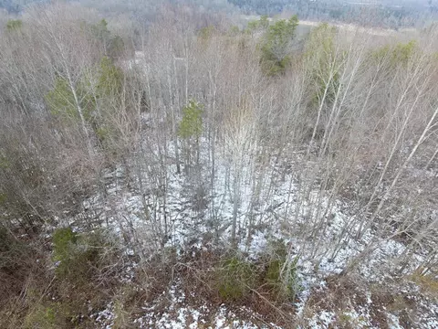 lot51 Shepperd, Nancy, KY 42544 photo 6
