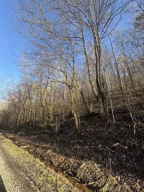 9999 Crawfish Rd, Manchester, KY 40962