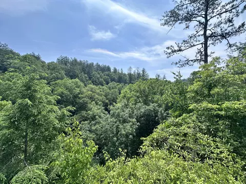 Other - 816 Flat Rd, Campton, KY 41301 photo 10 of 20