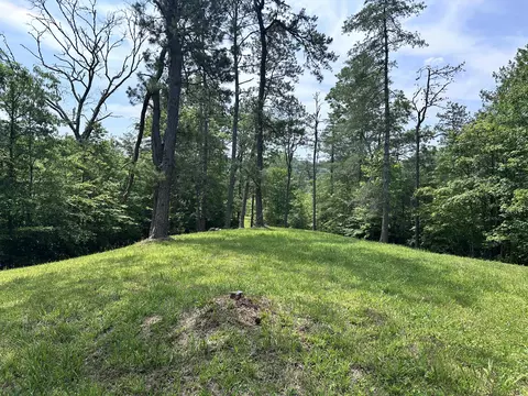 Other - 816 Flat Rd, Campton, KY 41301 photo 2 of 20