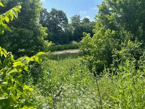 148 Cemetery Rd, Paris, KY 40361 photo 11