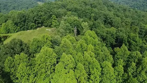 View/Area - 1216 Spring Rd, Wallingford, KY 41093 photo 6 of 14