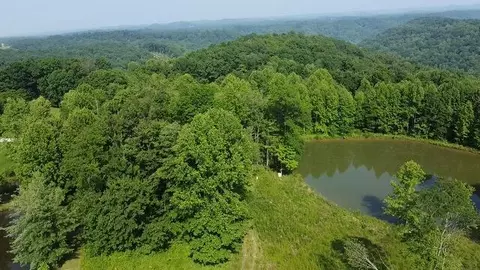 View/Area - 1216 Spring Rd, Wallingford, KY 41093 photo 13 of 14