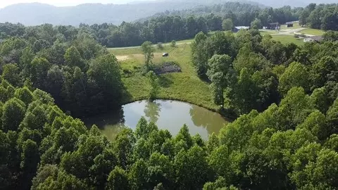 View/Area - 1216 Spring Rd, Wallingford, KY 41093 photo 7 of 14