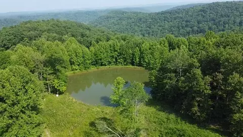 View/Area - 1216 Spring Rd, Wallingford, KY 41093 photo 14 of 14