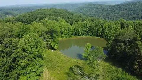 View/Area - 1216 Spring Rd, Wallingford, KY 41093 photo 9 of 14
