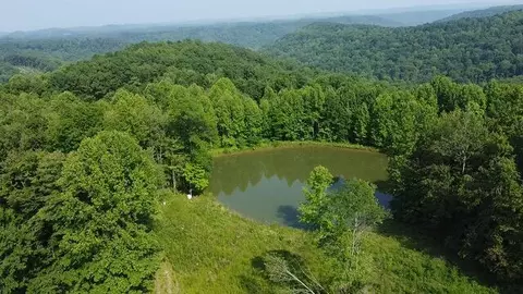 View/Area - 1216 Spring Rd, Wallingford, KY 41093 photo 11 of 14