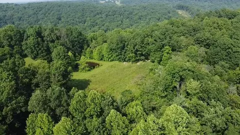 Other - 1216 Spring Rd, Wallingford, KY 41093 photo 3 of 6
