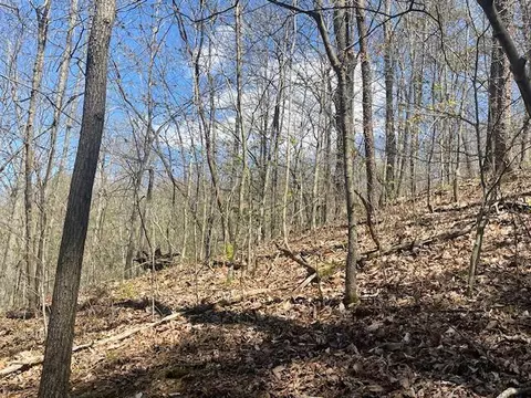 Other - 151 Conway Ln, Gray, KY 40734 photo 3 of 5
