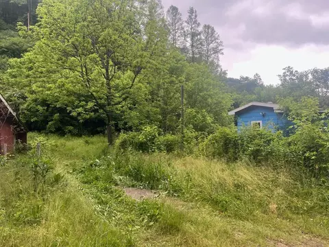 918 Spurlock Frk, Dana, KY