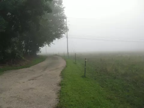 1168 Fork Field Rd, Oneida, KY 40972 photo 8