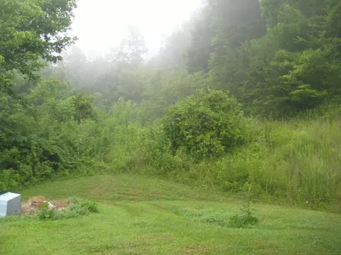 1168 Fork Field Rd, Oneida, KY 40972 photo 4