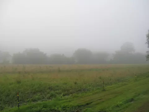 1168 Fork Field Rd, Oneida, KY 40972 photo 6
