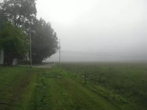 1168 Fork Field Rd, Oneida, KY 40972 photo 3