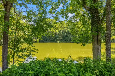 123 Harborside Ct, Georgetown, KY 40324 photo 37