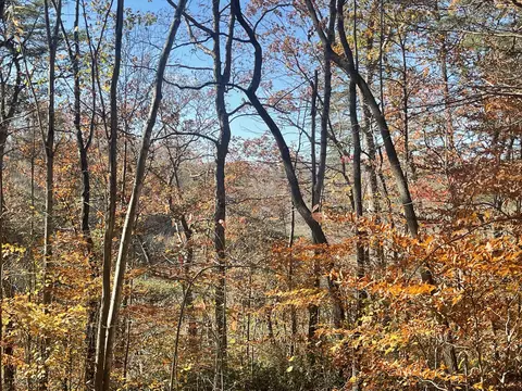 lot193 Stillwater, Russell Springs, KY 42642