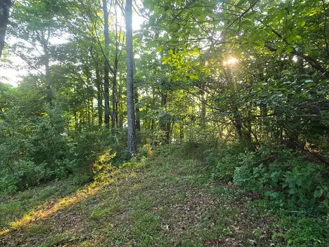 1213 Meece Ave, Nancy, KY 42544 photo 11