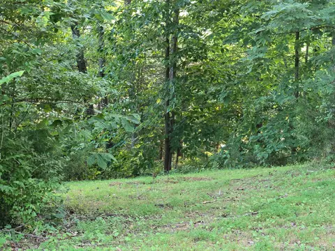 1213 Meece Ave, Nancy, KY 42544 photo 14