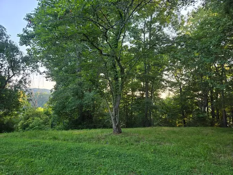 1213 Meece Ave, Nancy, KY 42544 photo 9